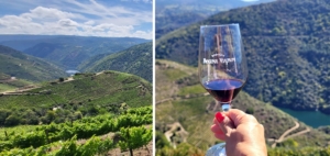 Vin- och kulturresa i Portugal och Galicien med Singelresor