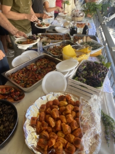 Vandrings- och må bra-resa till Cilento i Italien med Singelresor