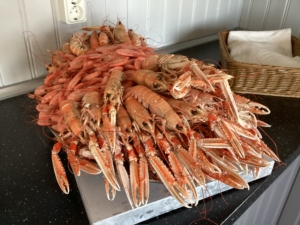 Vandring i vackra Bohuslän med Lysekil med Singelresor