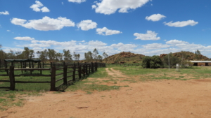 Australien rundresa med Singelresor