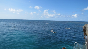 Australien rundresa med Singelresor