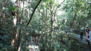 Australien rundresa med Singelresor