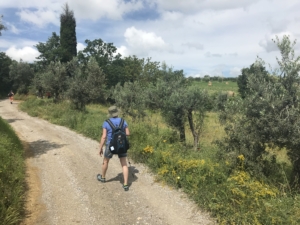 Vandringsresa till Toscana med Singelresor