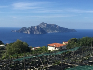 Vandringsresa Amalfikusten i Italien med Singelresor