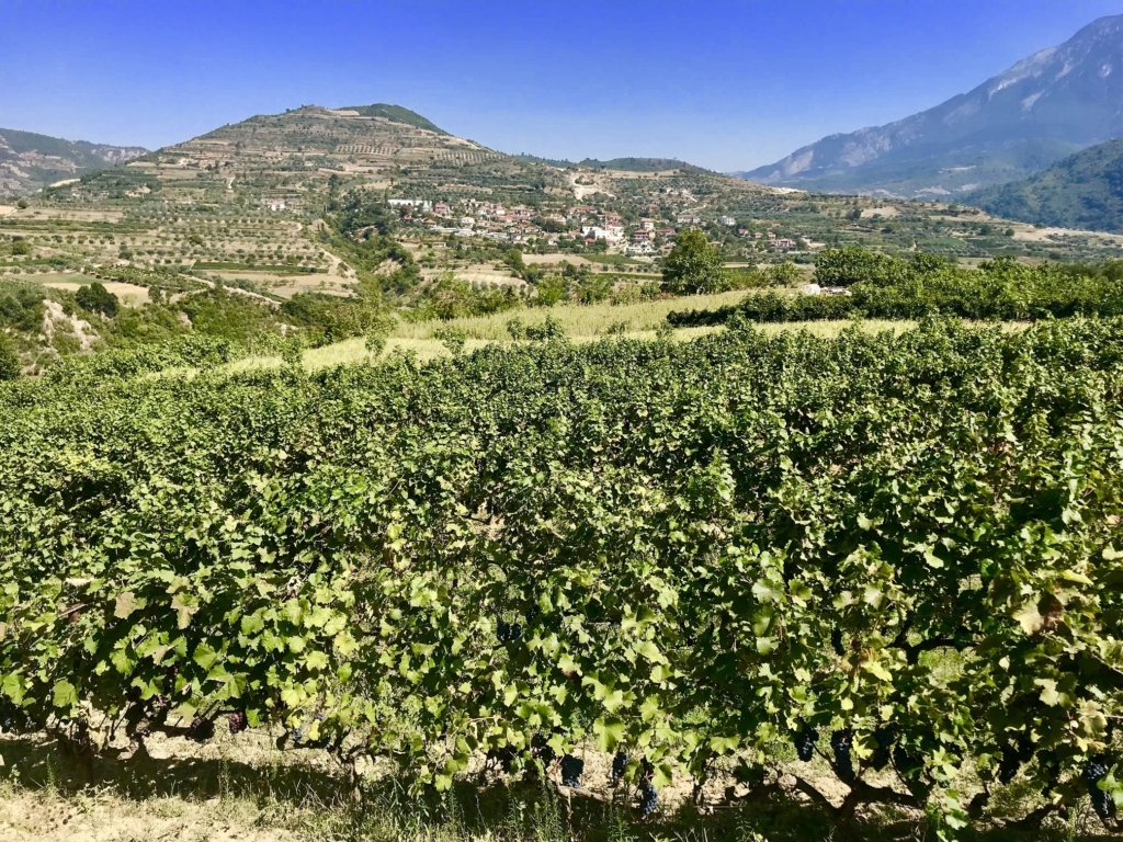 Albanien - strövtåg och kultur med Singelresor