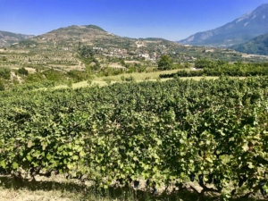 Albanien - strövtåg och kultur med Singelresor