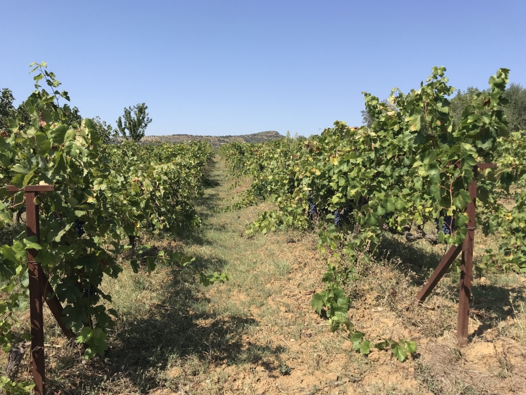 Albanien - strövtåg och kultur med Singelresor