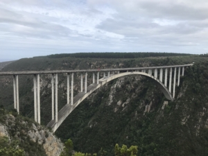 Sydafrika Garden route med Singelresor