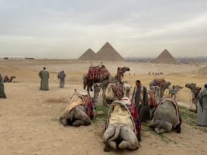 Egypten med kryssning på Nilen och bad i Röda havet med Singelresor