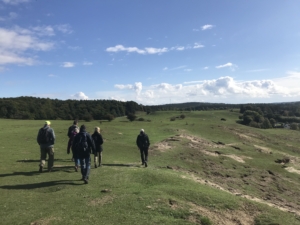 Vandringsresa i Skåne med Singelresor