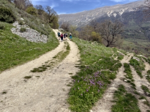 Albanien - strövtåg och kultur med Singelresor