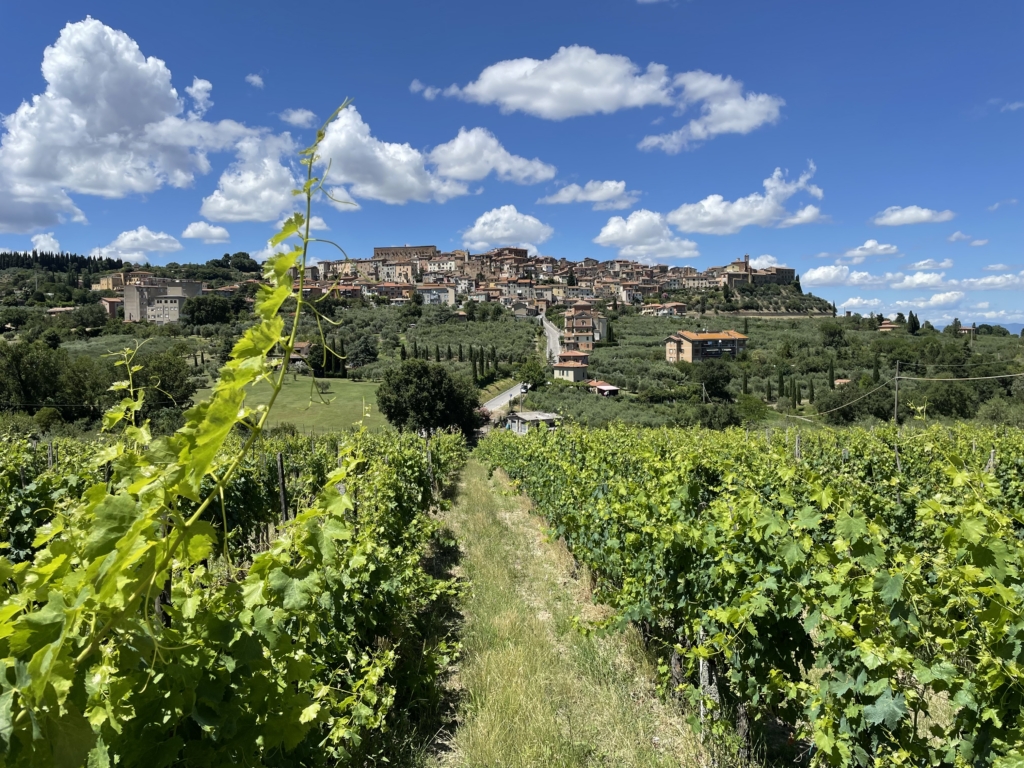 Vandringsresa till Toscana med Singelresor