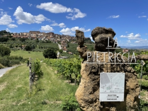 Vandringsresa till Toscana med Singelresor