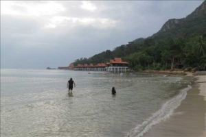 Malaysia och Borneo med Singelresor