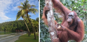 Malaysia och Borneo med Singelresor