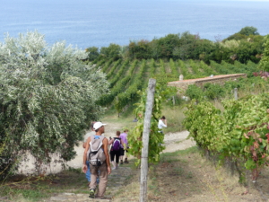 Vandringsresa Amalfikusten i Italien med Singelresor