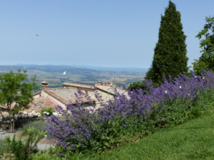 Vandringsresa till Toscana med Singelresor