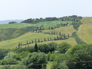 Vandringsresa till Toscana med Singelresor
