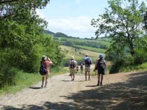 Vandringsresa till Toscana med Singelresor