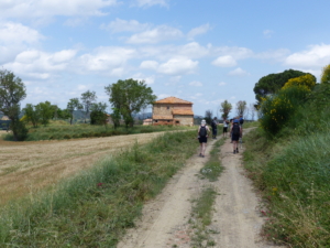 Vandringsresa till Toscana med Singelresor