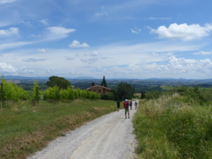 Vandringsresa till Toscana med Singelresor