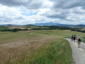 Vandringsresa till Toscana med Singelresor