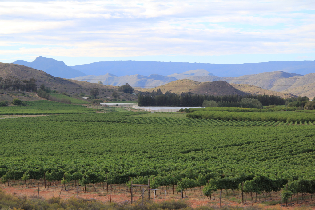 Sydafrika Garden route med Singelresor