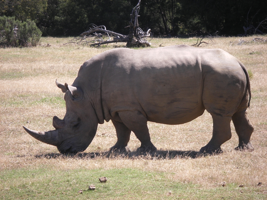 Sydafrika Garden route med Singelresor