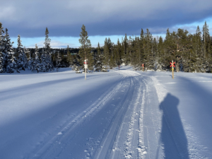 Skidresa i Storlien inkl. liftkort med Singelresor