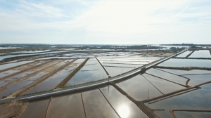 Vandringsresa i södra Portugal med Singelresor