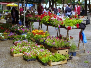 Bosnien och Hercegovina med Singelresor