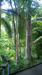 Australien rundresa med Singelresor