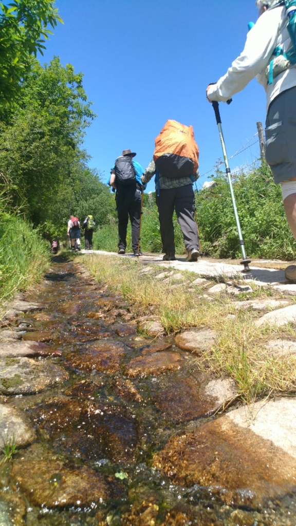 Pilgrimsvandring till Santiago de Compostela i Spanien med Singelresor