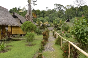 Galapágos och Amazonas