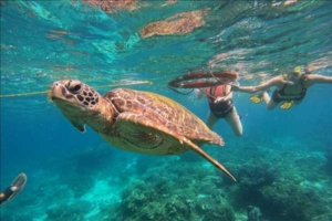 Filippinerna longstay på ön Siquijor med Singelresor