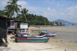 Malaysia och Borneo med Singelresor