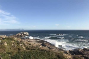 Sydafrika Garden route med Singelresor