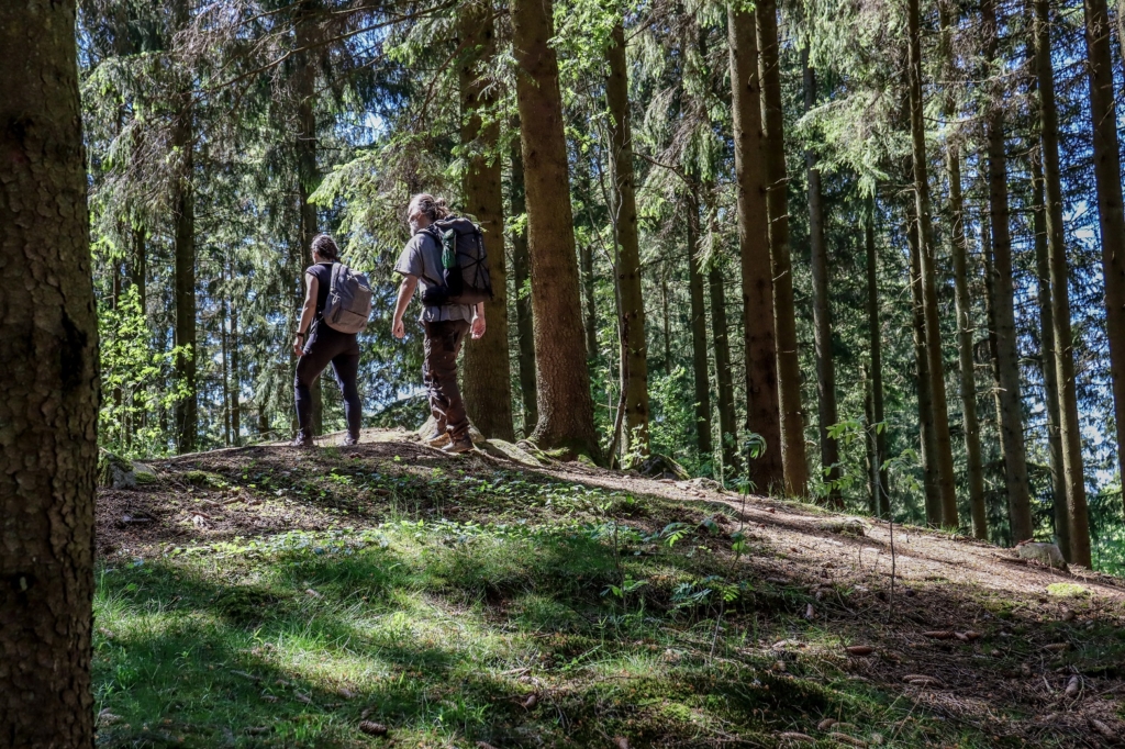 Vandringsresa i Skåne med Singelresor