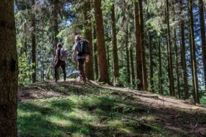 Vandringsresa i Skåne med Singelresor