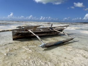 Zanzibar med Singelresor