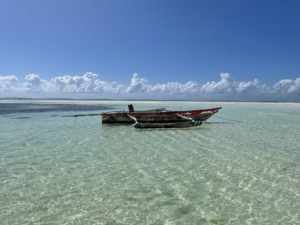 Zanzibar med Singelresor