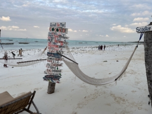 Zanzibar med Singelresor