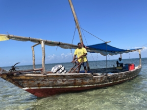 Zanzibar med Singelresor
