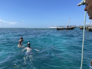 Zanzibar med Singelresor