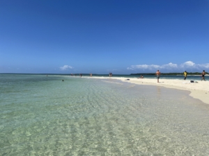 Zanzibar med Singelresor