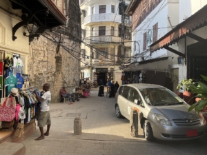 Zanzibar med Singelresor