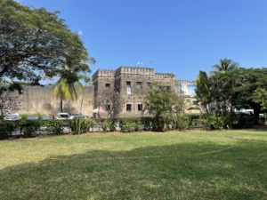 Zanzibar med Singelresor