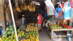 Zanzibar med Singelresor