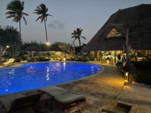 Zanzibar med Singelresor