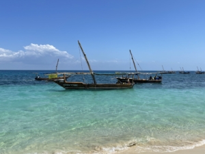 Zanzibar med Singelresor